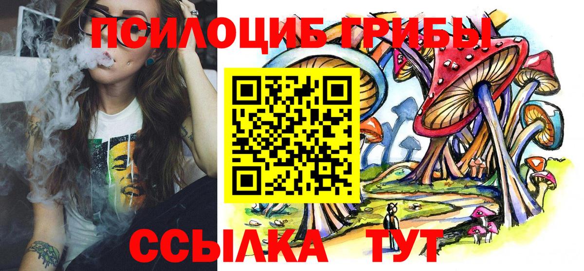 Галлюциногенные грибы MAGIC MUSHROOMS  Вход с VPN  Пенза  купить закладку  Псилоцибиновые грибы Magic Shrooms 